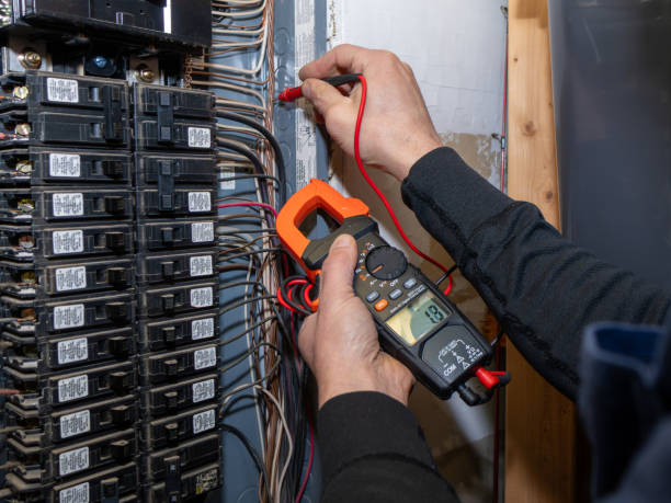 Best Electrical System Inspection  in Marshall, MI